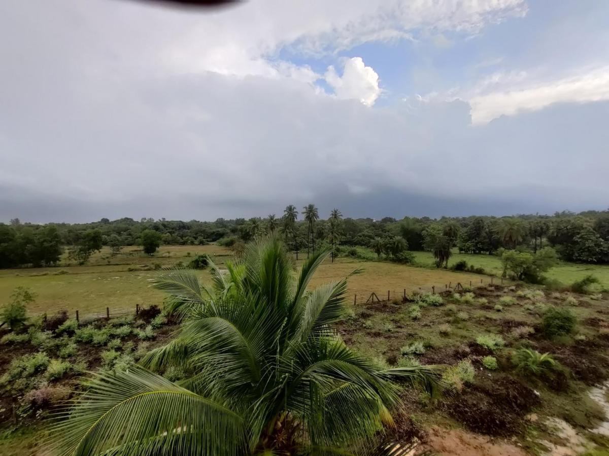 Woodpacker Hostel Auroville Pondicherry 外观 照片